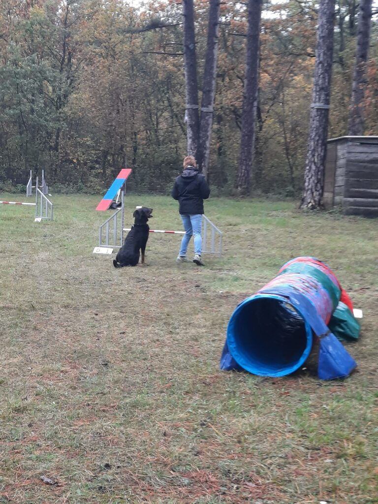 Agility Challenge 1 2023 Nala