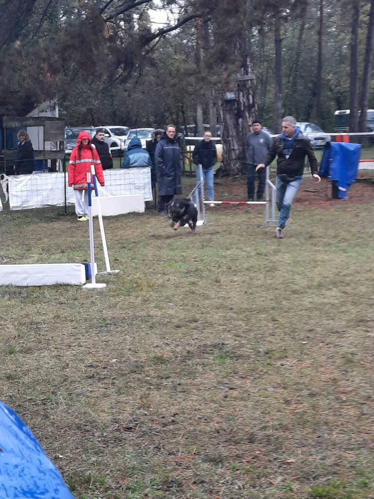 Agility Challenge 1 2023 Pancho